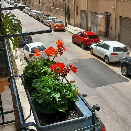 Civico 67